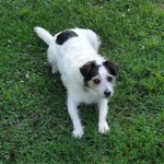 Buddy05
